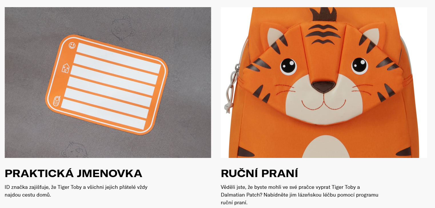 Snímek obrazovky 2025-03-21 133652